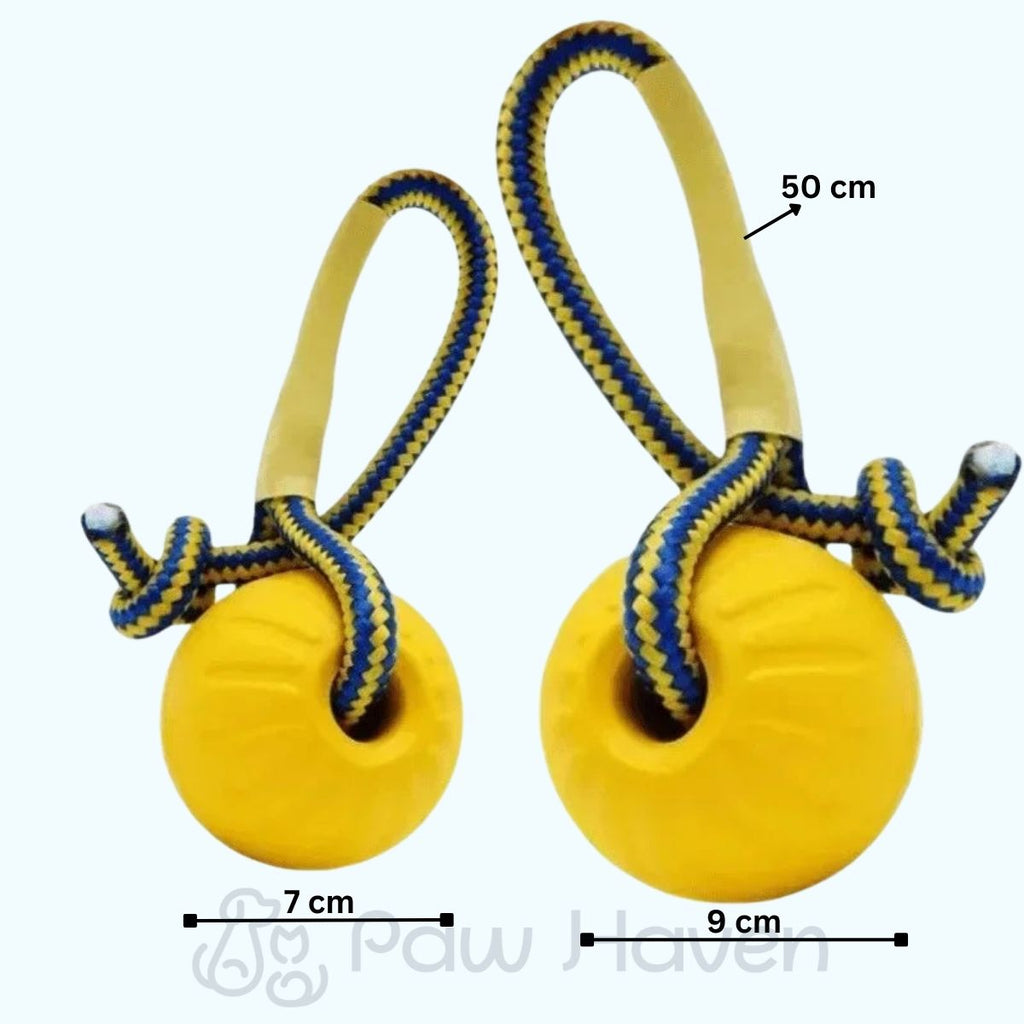 Durable Dog Chew Ball with Rope