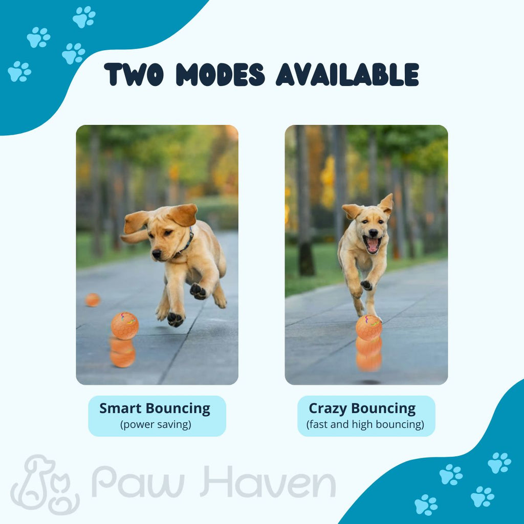Smart Interactive Pet Toy Ball
