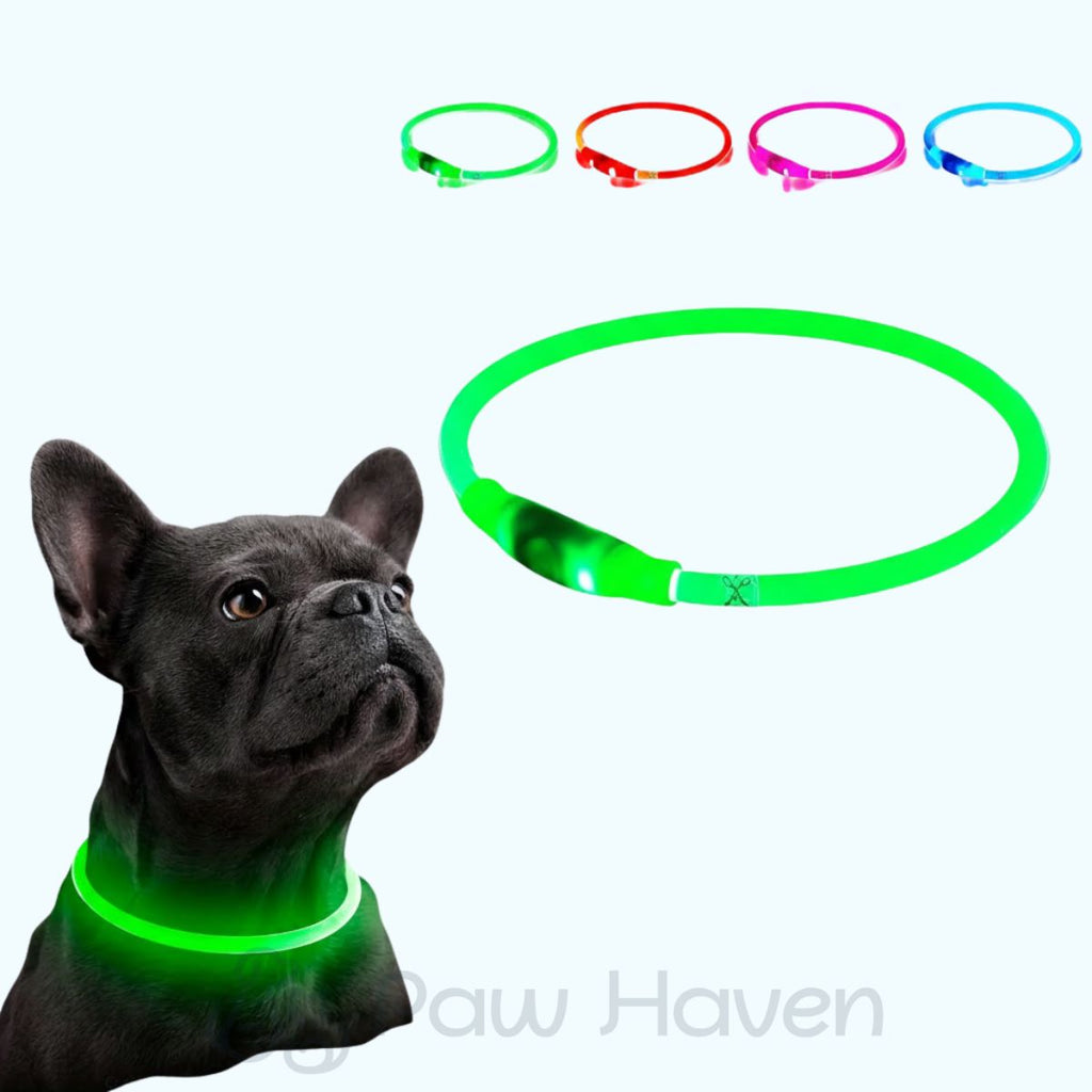 LED Dog Collar