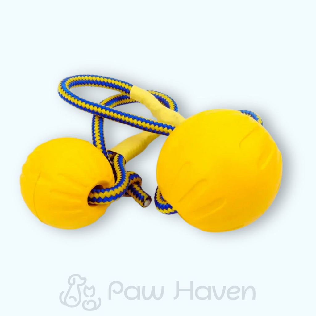 Durable Dog Chew Ball with Rope