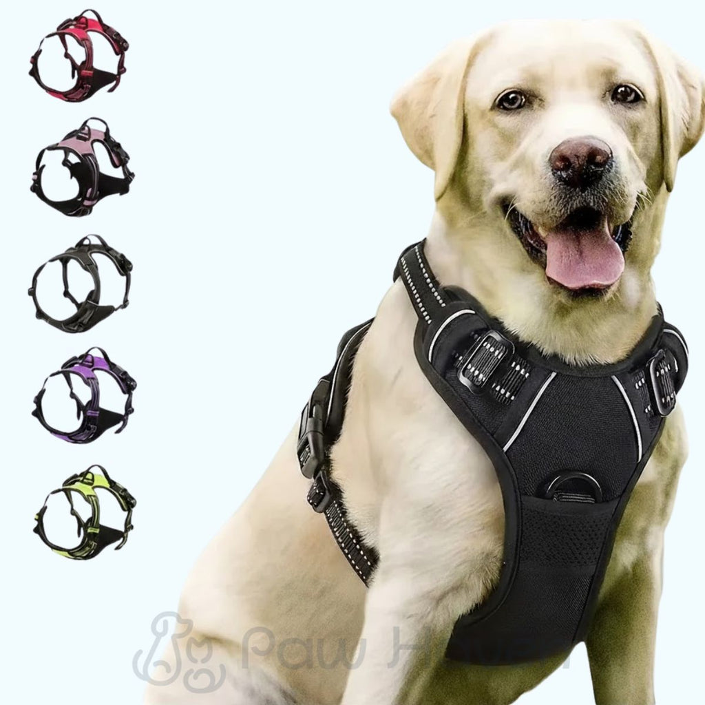 No-Pull Dog Harness