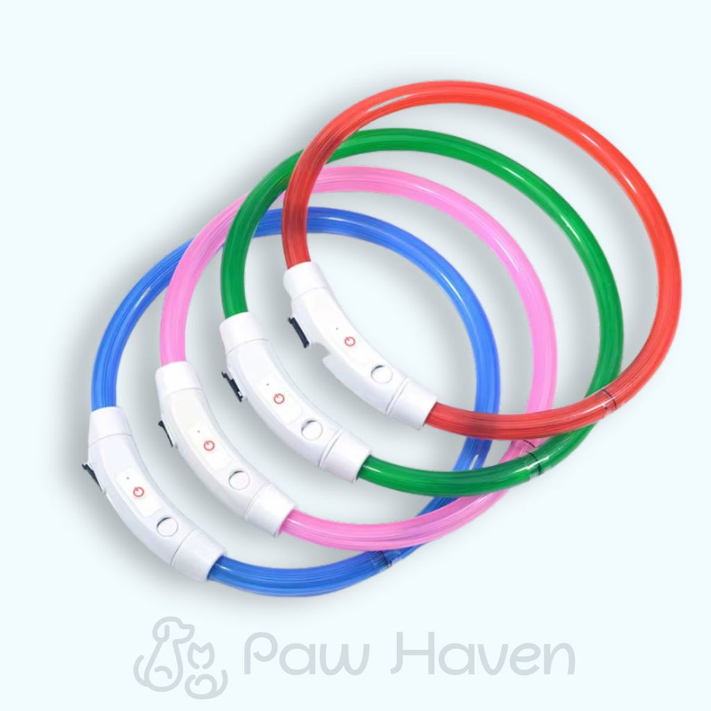 LED Dog Collar