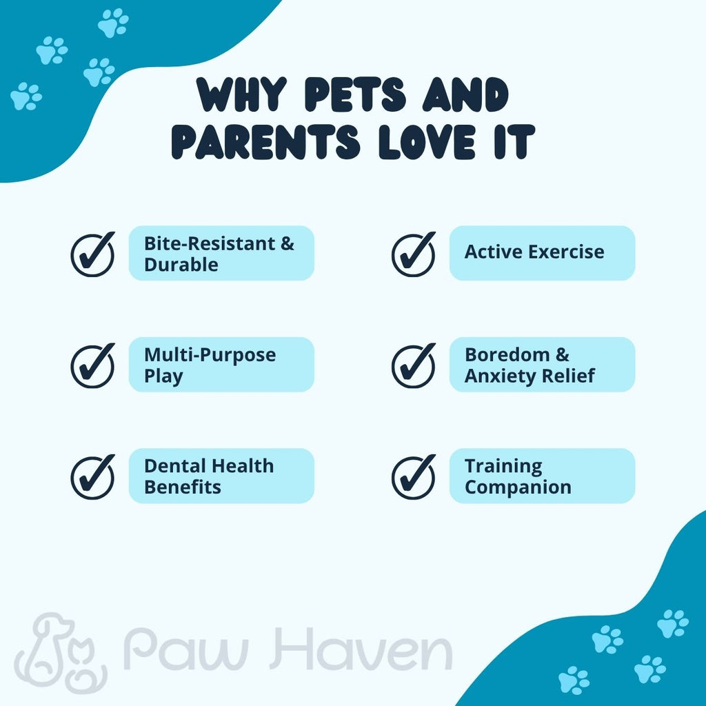 Durable Dog Chew Ball with Rope