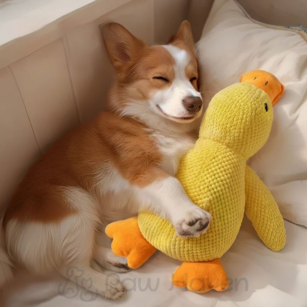 Plush Duck
