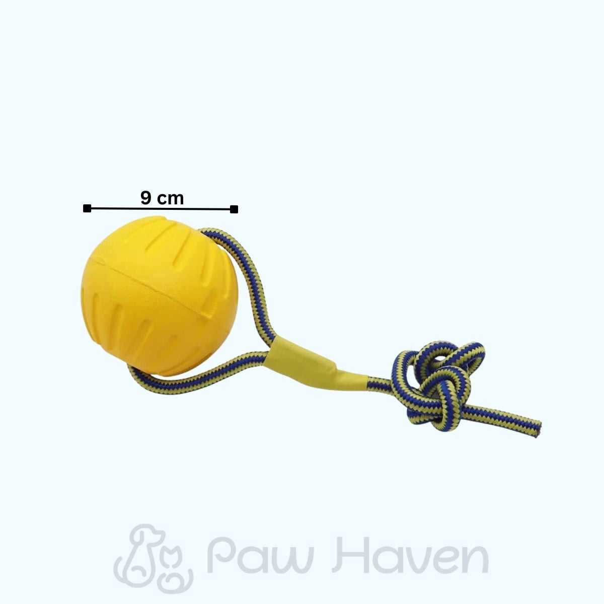 Durable Dog Chew Ball with Rope