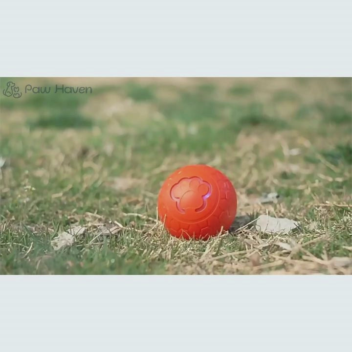 Smart Interactive Pet Toy Ball